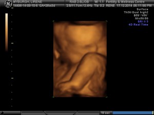 WEBSITE 3D_1